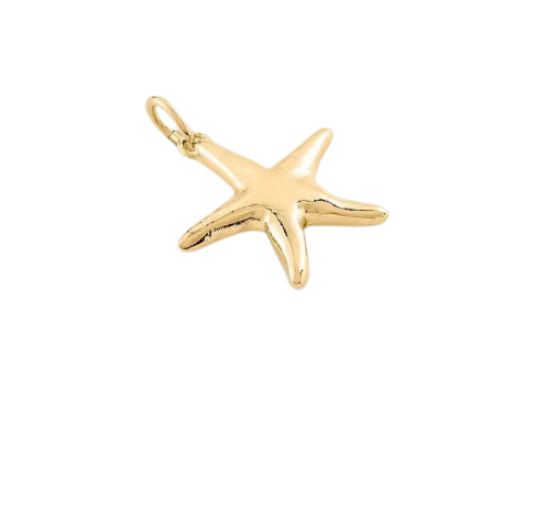Colgante TALISMANS Estrella de Mar Dorado | Agatha París