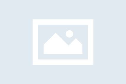 No-Image placeholder